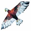 eagle kite