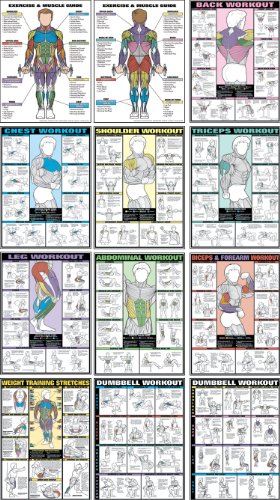 Fitnus Chart Flip Chart - 12 Posters in 1 Book