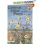 Common Edible and Useful Plants of the West (Outdoor and Nature)