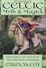 Celtic Myth and Magick: Harness the Power of the Gods and Goddesses (Llewellyn s World Religion and Magic Series)