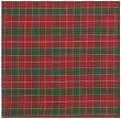 Durable Flat Weave 100% Cotton Colorful Green and Red Plaid Tablecloth 54x90 Inches