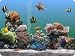 Marine Aquarium (PC & Mac)