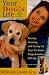Your Dog's Life: Raising, Training, and Caring for Your Pet from Puppyhood to Old Age