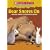 Bear Snores On... and More Stories to Celebrate the Seasons (Scholastic Video Collection)