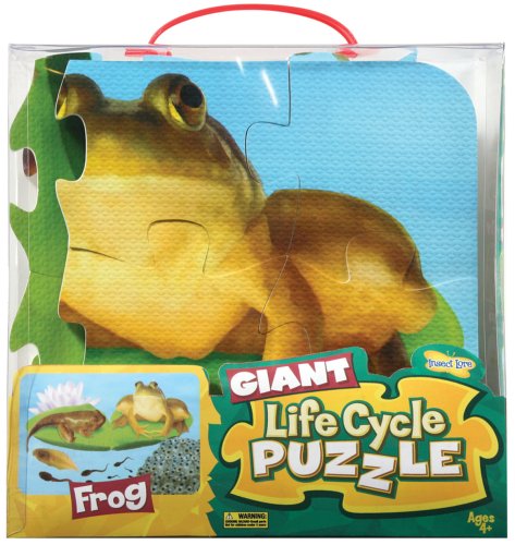 51VK5bUPWfL Insect Lore Frog Giant Life Cycle Puzzle
