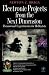 Electronic Projects from the Next Dimension: Paranormal Experiments for Hobbyists (Electronic Circuit Investigator)