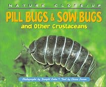 Pill Bugs & Sow Bugs and Other Custaceans