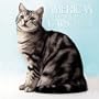 American Shorthair Cats 2006 Calendar