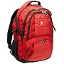 SwissGear Computer Backpack (Red)