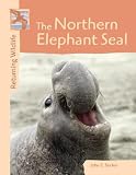 The Northern Elephant Seal (Returning Wildlife)