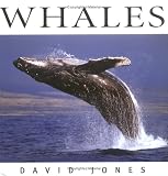 Whales (Wildlife (Whitecap))