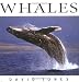 Whales (Wildlife Series)