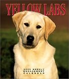 Yellow Labrador Retrievers: Weekly Engagement Calendar: 2003