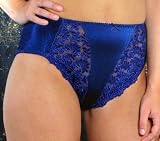Valmont Embroidered Lace Hi-Cut Brief Style 2310