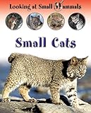 Small cats