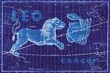 Art Poster, Cancer and Leo #3 - 27.5 x 18.75