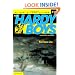 Hurricane Joe (Hardy Boys: All New Undercover Brothers #11)
