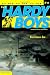 Hurricane Joe (Hardy Boys: All New Undercover Brothers #11)