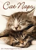 Cat Naps 2011 Weekly Engagement Calendar