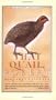 That Quail Robert