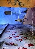 Steve McCurry: Augenblicke - 