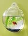 Wall Mount Fish Bowl Aquarium Tank Beta Goldfish
