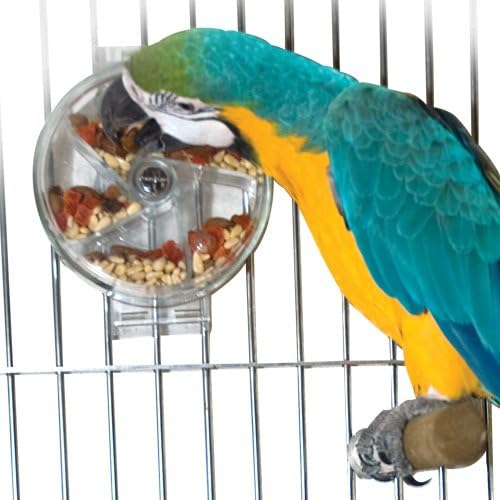 King's Cage P613 Foraging Wheel