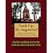 A Walking Tour of St. Augustine, Florida (Look Up, America!)