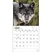 Wolves 2015 Wall Calendar