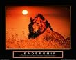 Leadership-Lion, Motivational Poster