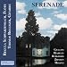 14 Anton Diabelli: Serenade op. 99: Allegro moderato Image of 14 Anton Diabelli: Serenade op. 99: Allegro moderato
