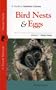 A Guide to Southern Arizona Bird Nests & Eggs