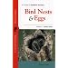 A Guide to Southern Arizona Bird Nests & Eggs