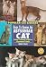 abyssinian16  - Abyssinian Cat Popular Cat Library