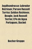 Jagdhundrasse: Labrador Retriever, Parson Russell Terrier, Golden Retriever, Beagle, Jack Russell Terrier, Cao de Agua Portugues, Dac