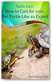Turtle Care: How to Care for Pet Turtles Like an Expert. The New Best Seller (Aquarium and Turtle Mastery)