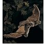 Plush Brown Bat Puppet 24"