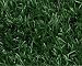 RealGrass RG 53SB-Sample 3-Blade Forest 3-3/4-by-5-Inch Residential Landscape Series Artificial Turf Sample