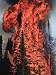 Flames hurtle through a thick stand of sub-alpine firs near Warm Lake Photographic Po...