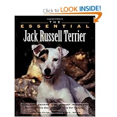 The Essential Jack Russell Terrier (Essential Guide)