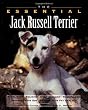 The Essential Jack Russell Terrier (Essential Guides Series)
