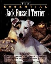 The Essential Jack Russell Terrier