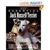 The Essential Jack Russell Terrier (Essential Guides Series)