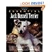 The Essential Jack Russell Terrier (Essential Guides Series)