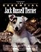 The Essential Jack Russell Terrier (The Essential Guides)