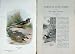 1901 Swaysland Wild Birds Grey Wagtail Thorburn Colour