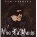 Bam Margera Presents: Viva La Bands, Vol. 2