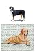 Greater Swiss Mountain Dog Glass Cutting Board