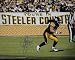 Troy Polamalu Autographed/Hand Signed Pittsburgh Steelers 16x20 Photo