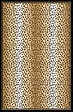 Contemporary Area Rug, Home Dynamix Zone 4'x5' Leopard